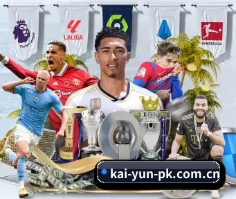 kai-yun-pk.com.cn APP